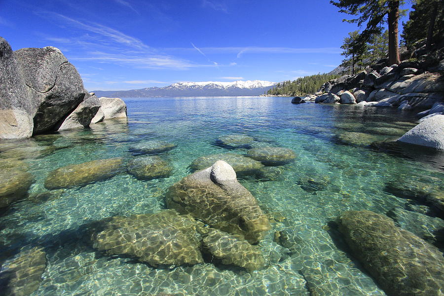 Tahoe Oasis Photograph by Sean Sarsfield