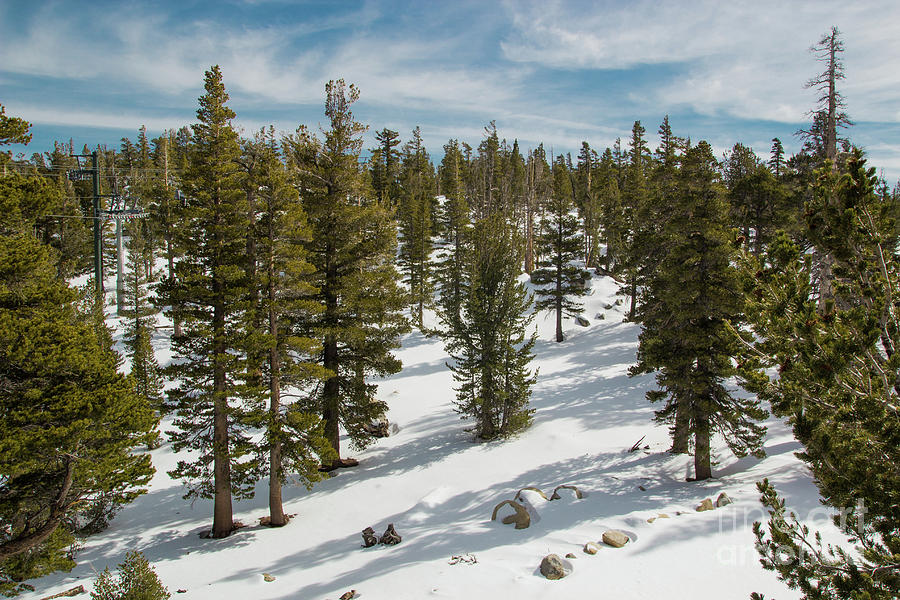 Winter Photograph - Tahoe Winter by Suzanne Luft
