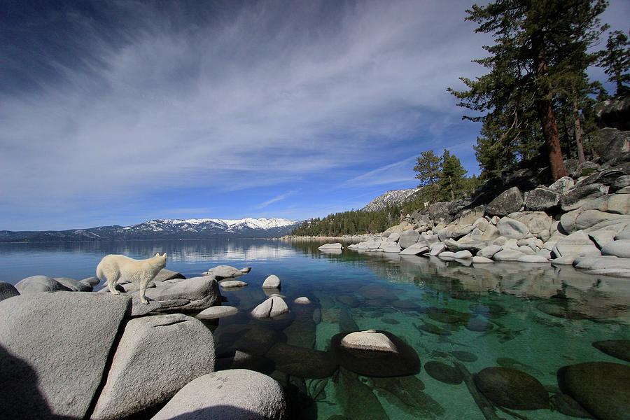 Tahoe Wow Photograph by Sean Sarsfield