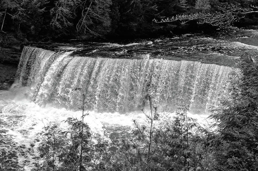 Tahquamenon Falls State Park  -  tahquamenonfallsblkwhi171466 Photograph by Frank J Benz