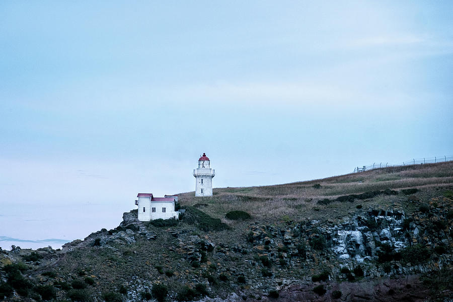 Taiaroa Head Lighthouse Photograph by Catherine Reading