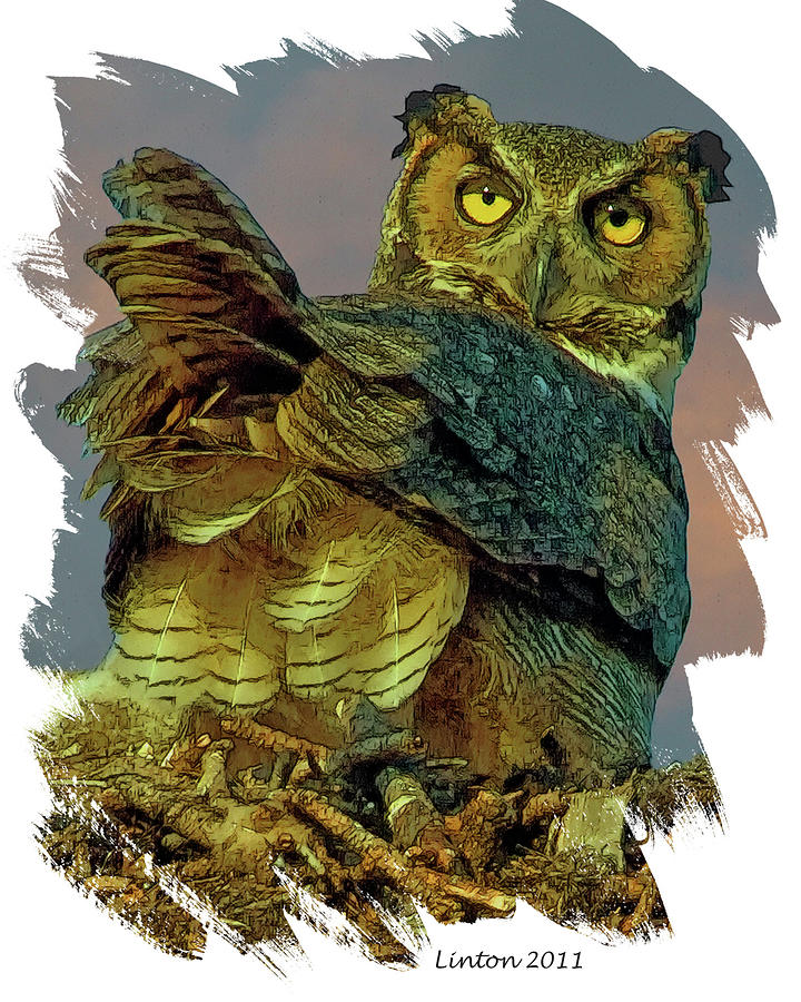 Owl Digital Art - Tailfeathers by Larry Linton
