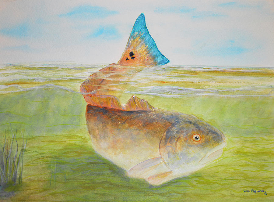 Tailing Redfish Painting by Ken Figurski