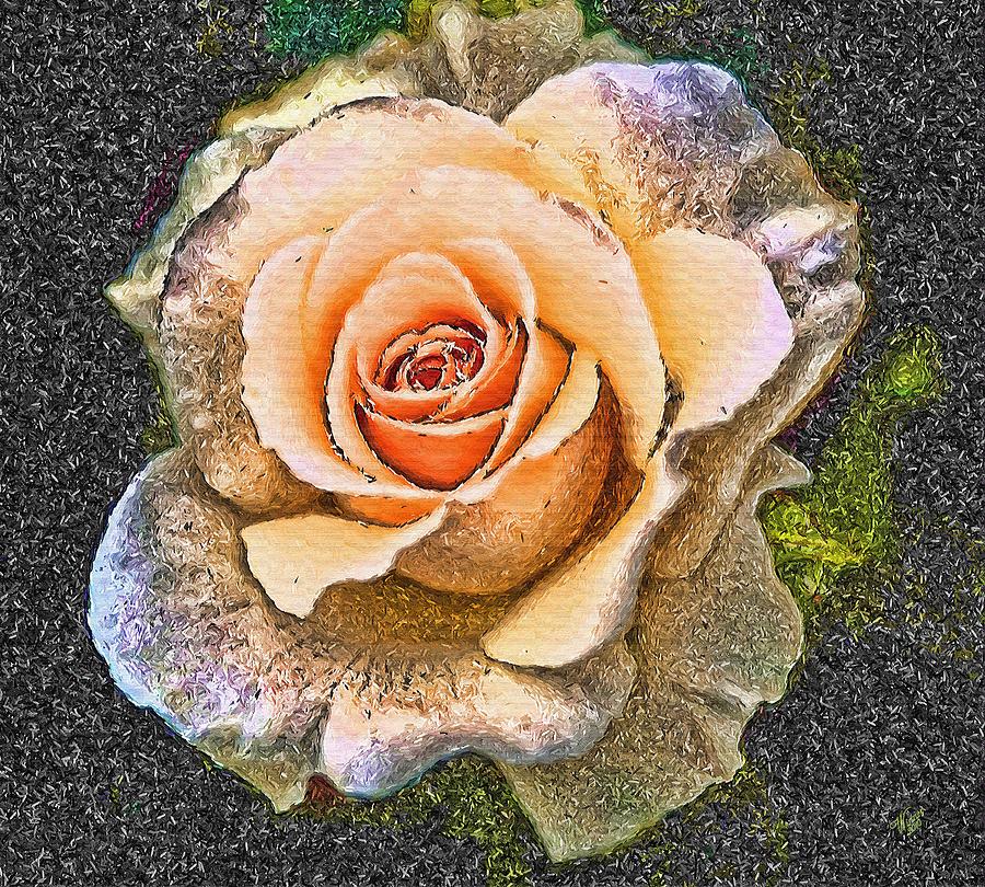 Rose Painting - Tainted Rose by John Winner