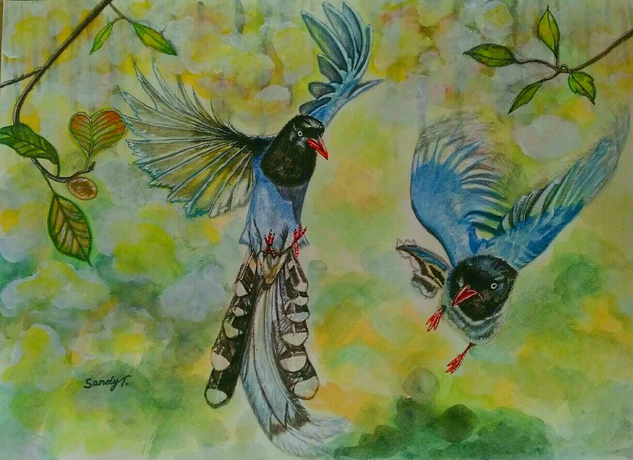 Bird Painting - Taiwan Blue Magpie by Jo lan Tao