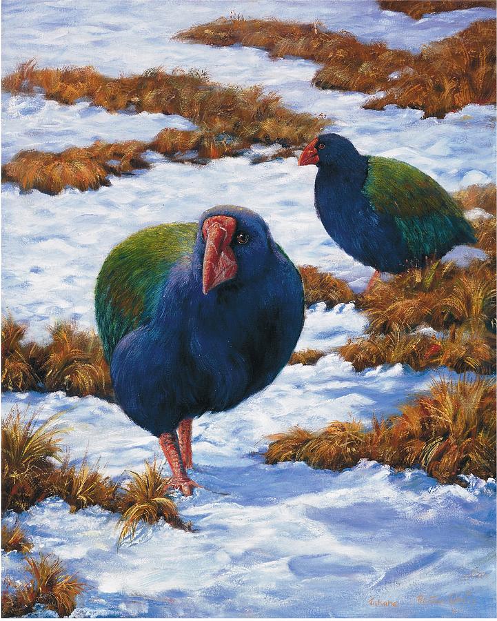 Bird Painting - Takahe by Peter Jean Caley