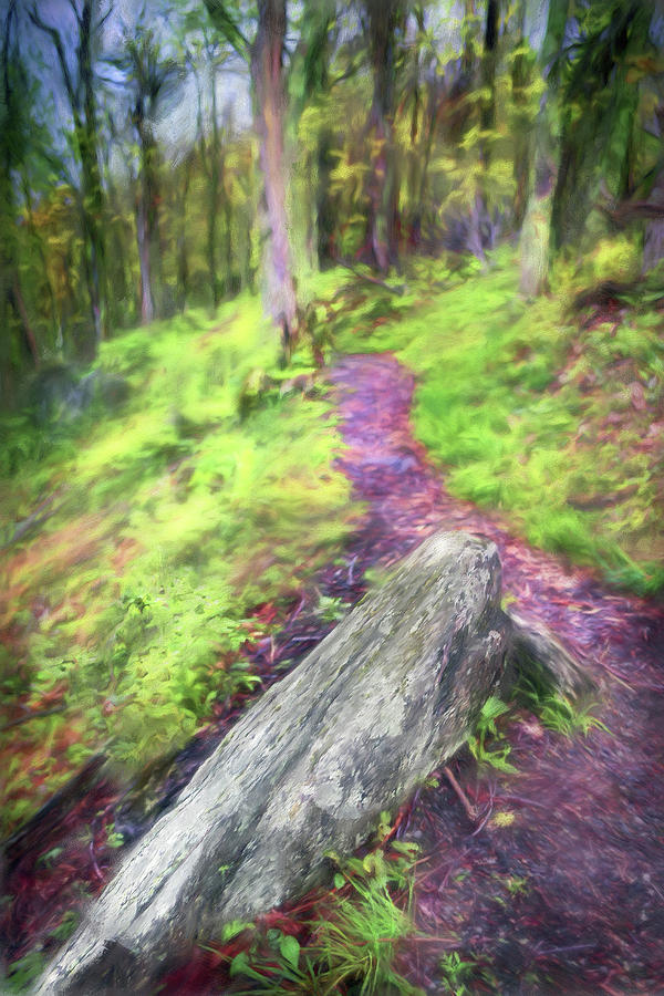 Take a Hike in the Blue Ridge AP Painting by Dan Carmichael