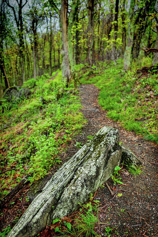 Take a Hike in the Blue Ridge Photograph by Dan Carmichael