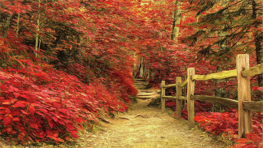 Take a Hike - Red Photograph by Stephen Stookey