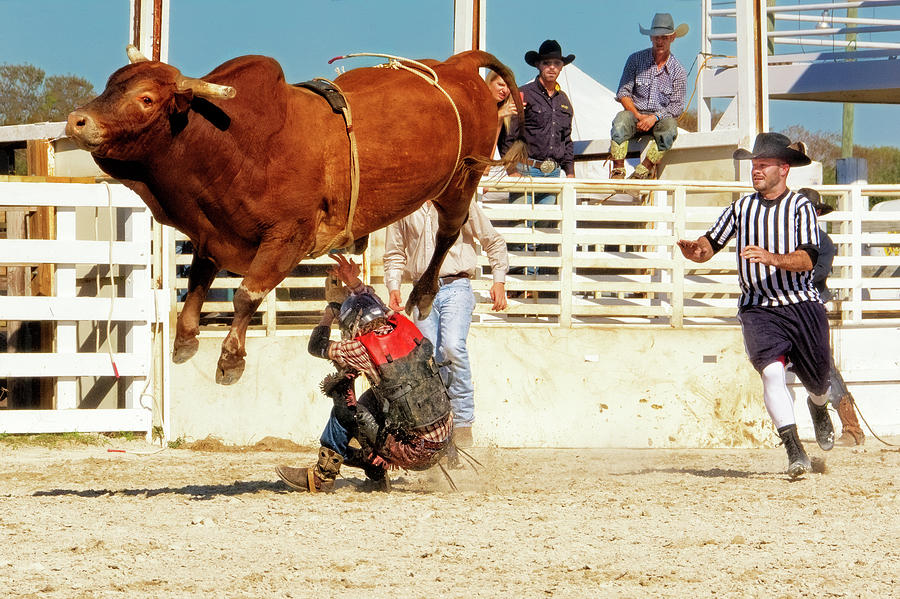 Take Cover - Bull Rider - Rodeo Photograph by Mitch Spence