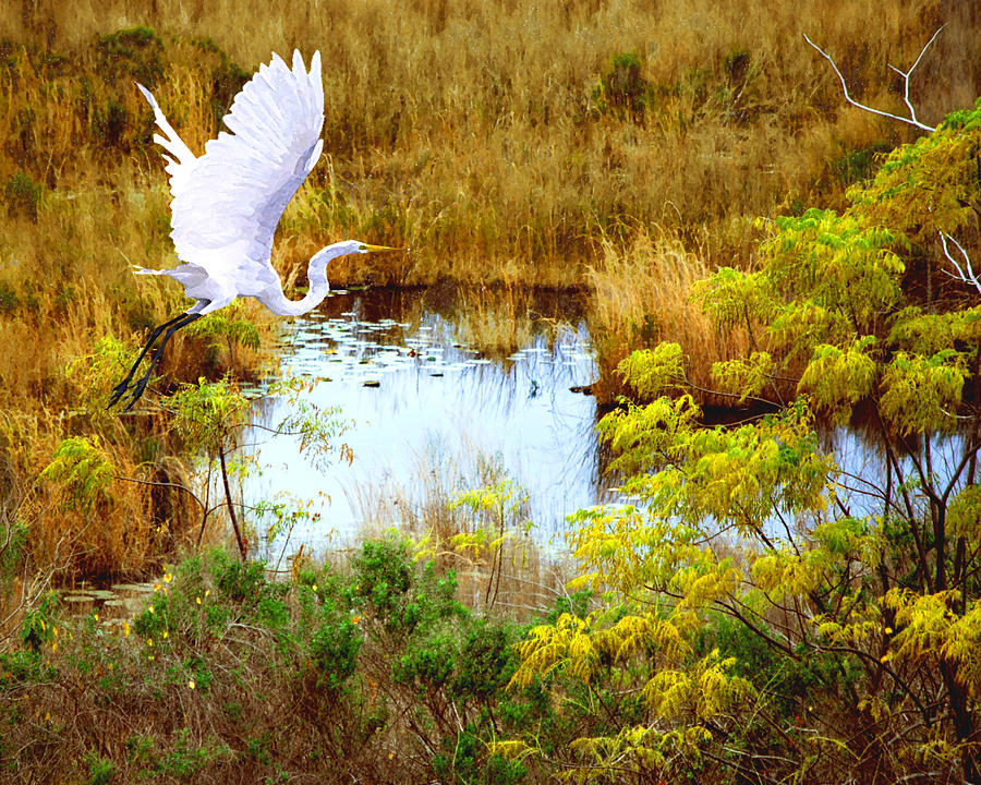 Bird Photograph - Take Flight by Adele Moscaritolo
