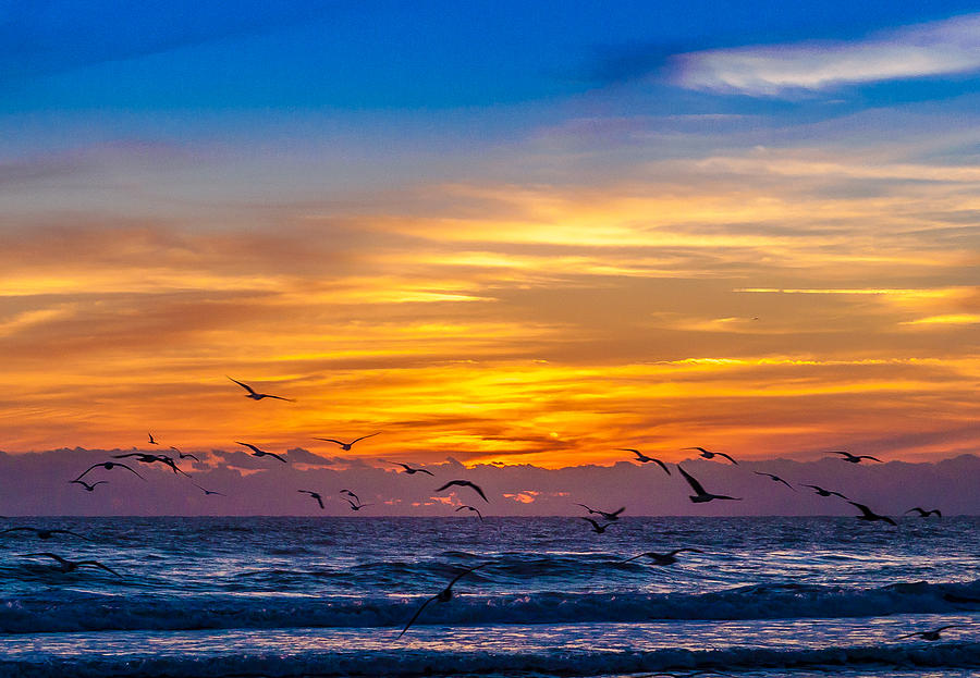 Take Flight Photograph by Wayne White - Fine Art America