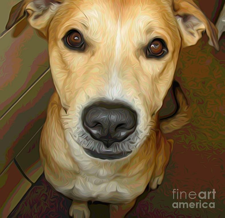 Take Me Home 2 Sweet Dog at SPCA Photograph by Rose Santuci-Sofranko