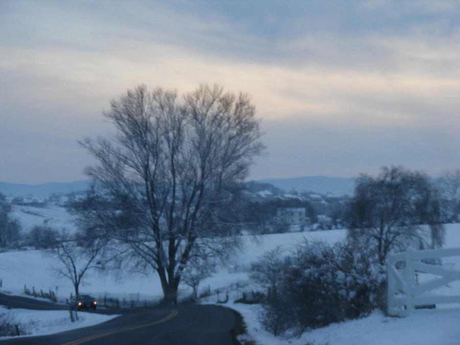 Take Me Home Photograph by James and Vickie Rankin - Fine Art America