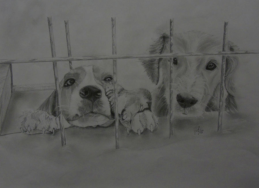 Take me home Drawing by Maria Woithofer