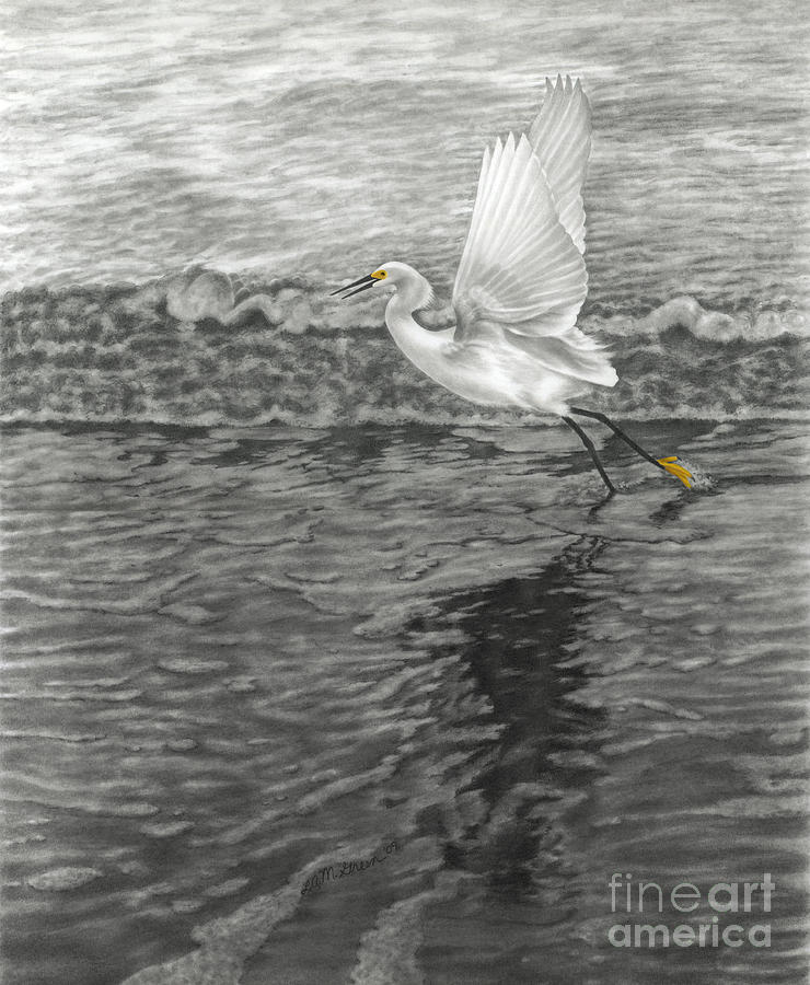 Nature Drawing - Take Off At Dusk - The Rendering by Lucyna A M Green