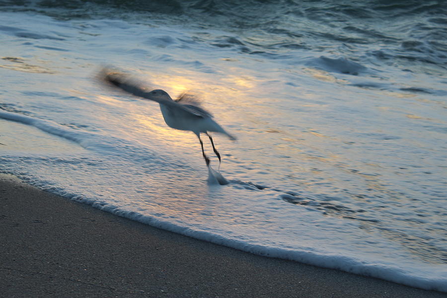 Take Off Photograph by Daniel Eisenstein - Fine Art America