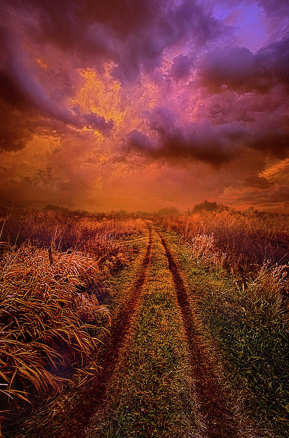 Take Only What You Can Carry With You Photograph by Phil Koch