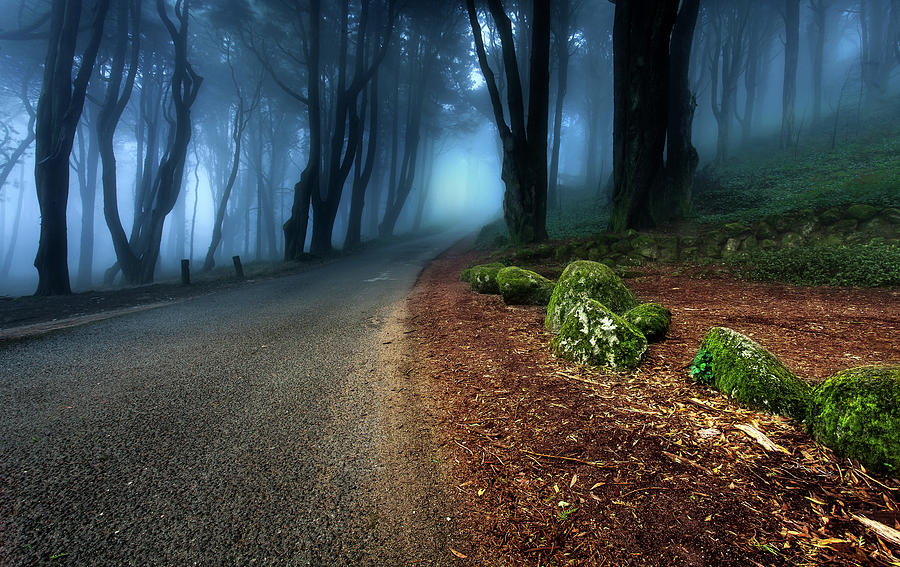 Take the journey Photograph by Jorge Maia