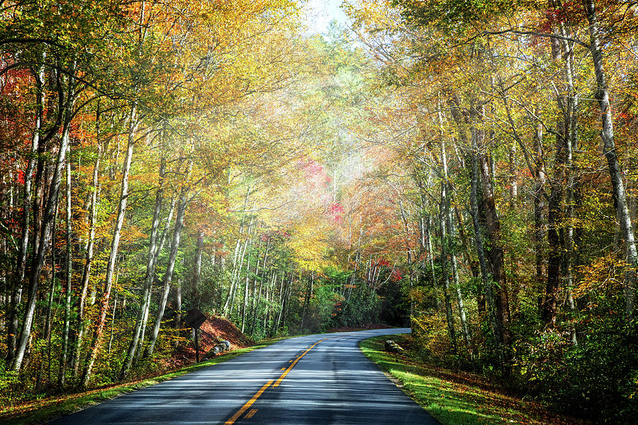 Take the Long Way Home in Autumn Photograph by Debra and Dave Vanderlaan
