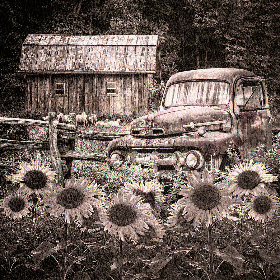 Barn Photograph - Take us for a Ride in the Sunflower Patch in Sepia Tones by Debra and Dave Vanderlaan