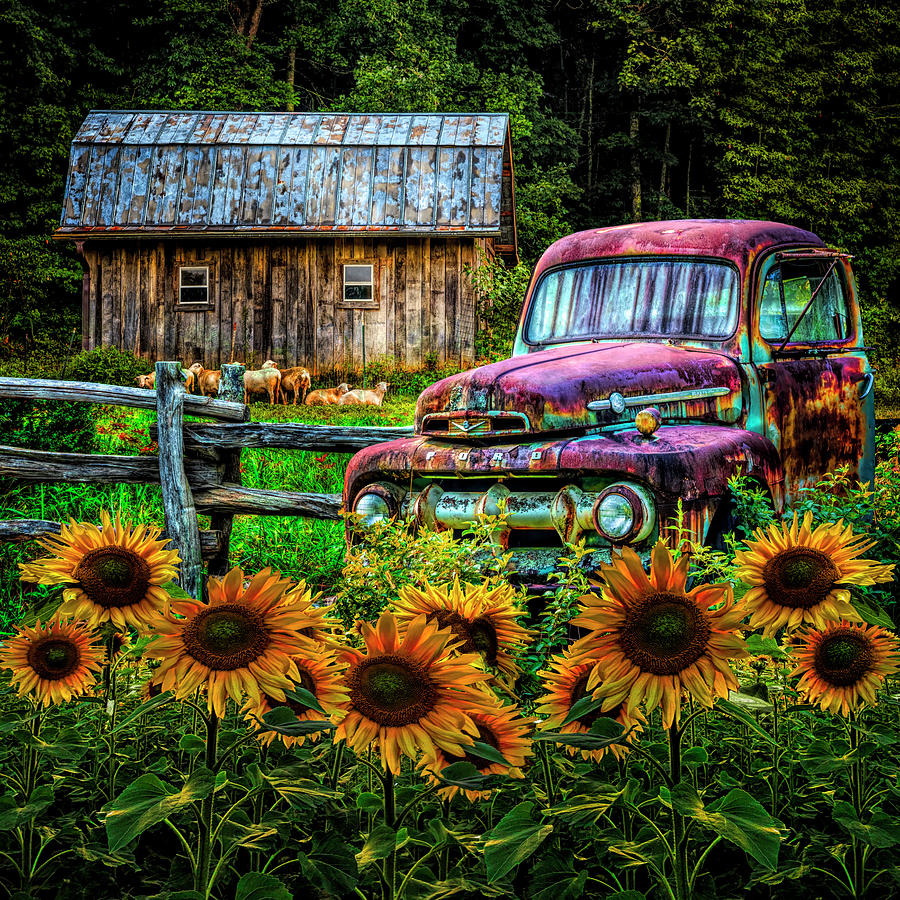 Take us for a Ride in the Sunflower Patch in Summer Colors Photograph by Debra and Dave Vanderlaan