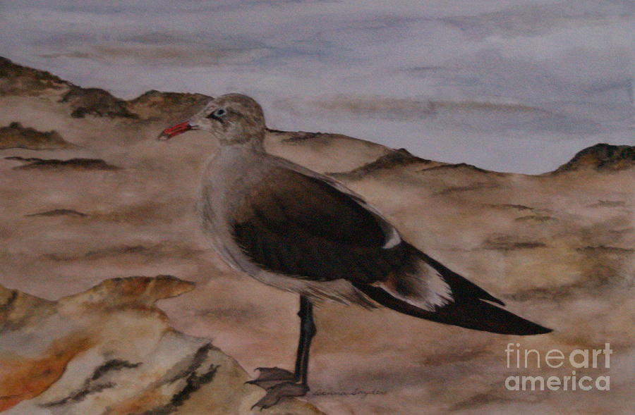 Sea Gull Painting - Taking A Break by Donna Snyder Sea Gull Painting - Taking A Break by Donna Snyder