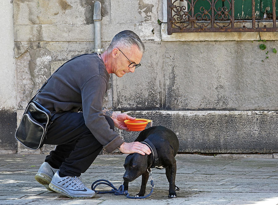 Taking Care Of Mans Best Friend In Venice, Italy Photograph by Rick Rosenshein