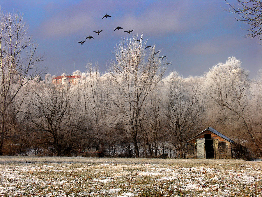 Winter Photograph - Taking Flight by Steve Karol