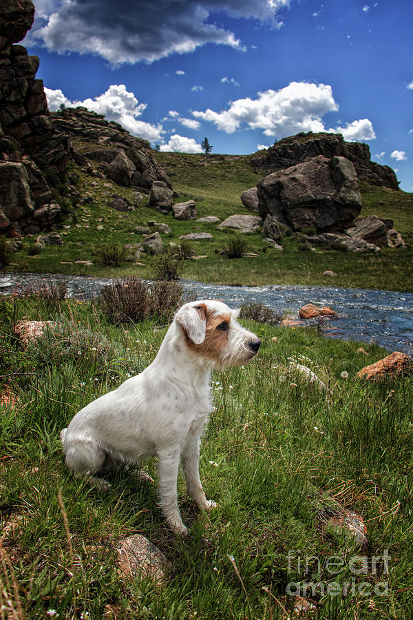 Taking It All In Photograph By Erin Schwartzkopf Fine Art America