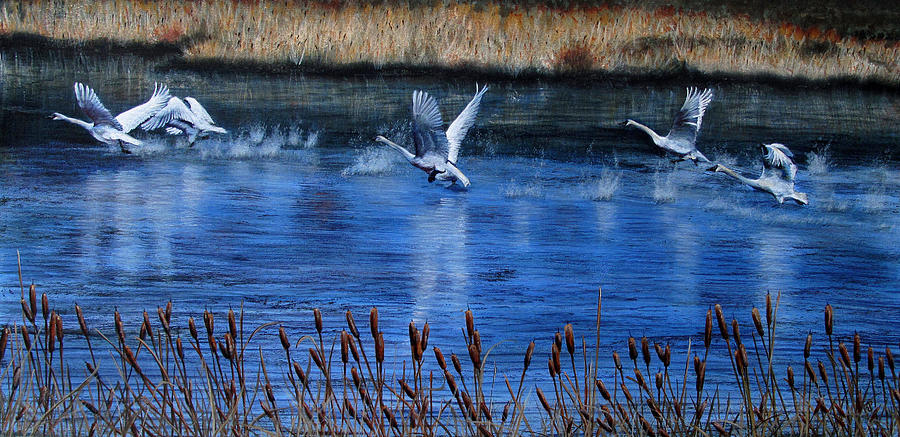 Taking Off Painting by Karen Peterson