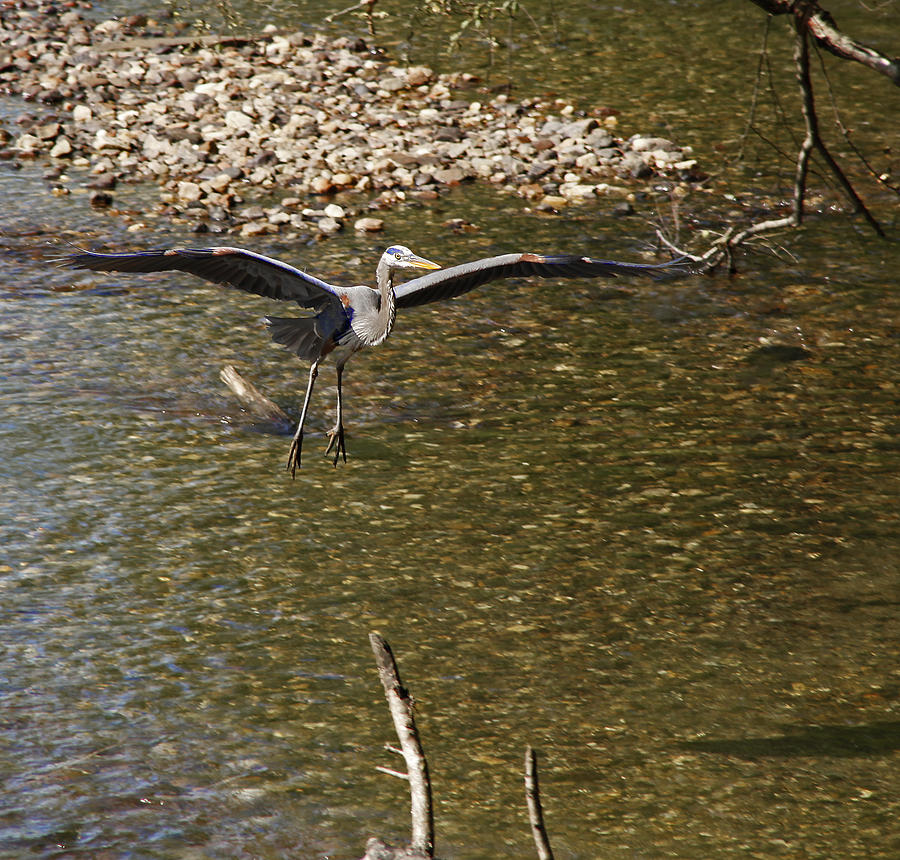 Taking Wing by Michael A. Martin Taking Wing by Michael A. Martin