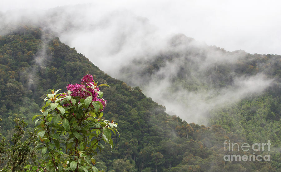 Talamanca Mountains Photograph by Chris Scroggins