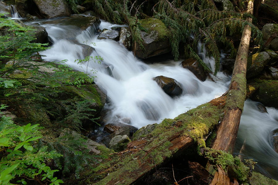 Talapus Creek Photograph