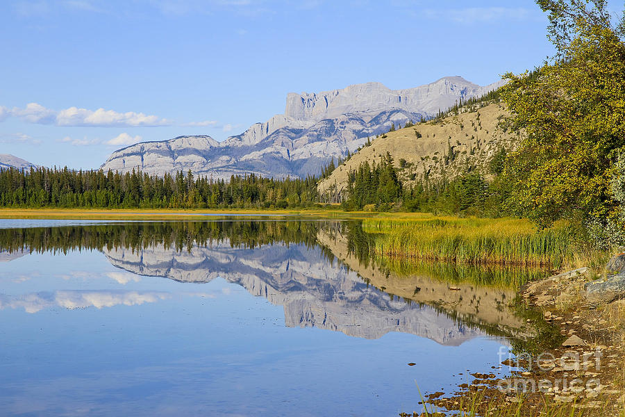 Talbot Lake Jasper National Park Photograph by Teresa Zieba