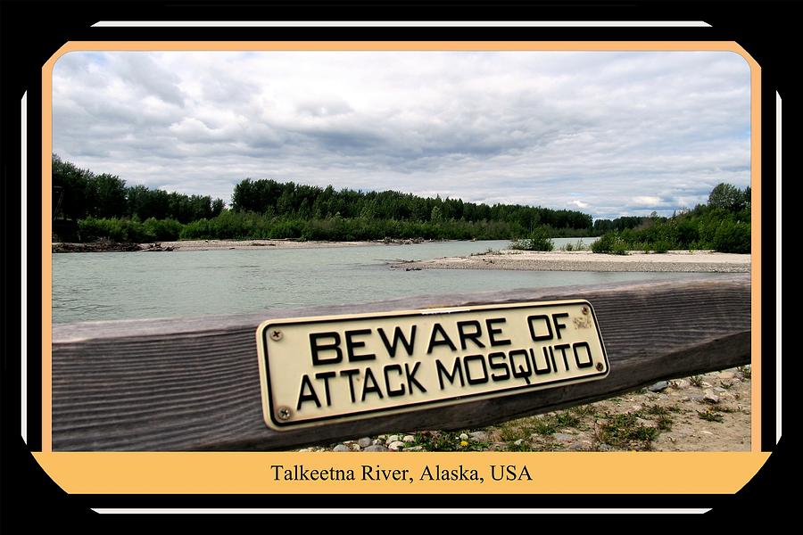 Talkeetna River, Alaska Photograph by Richard Thomas