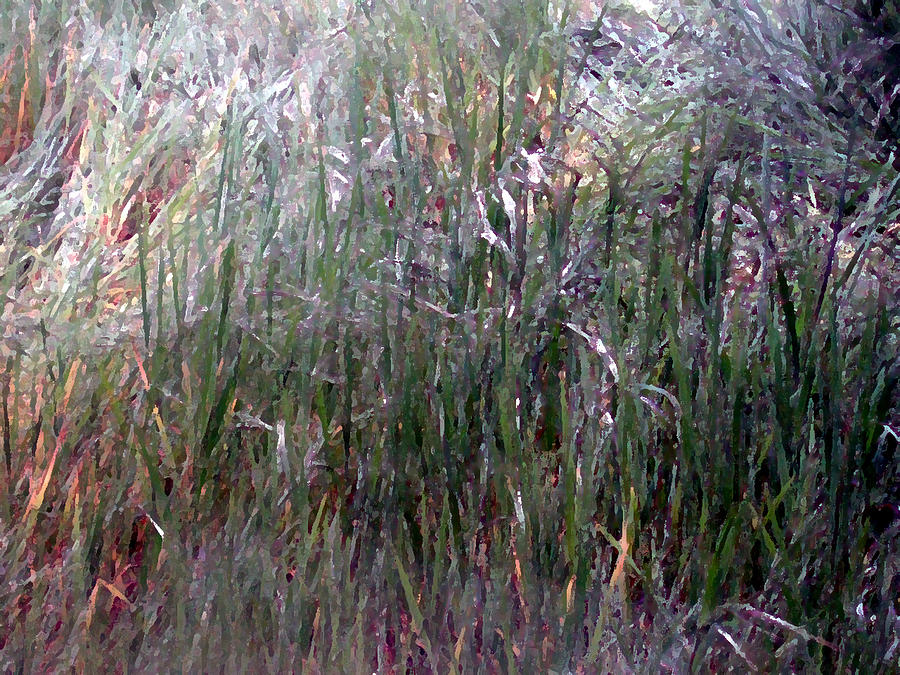 Tall Grass Digital Art by Eric Forster