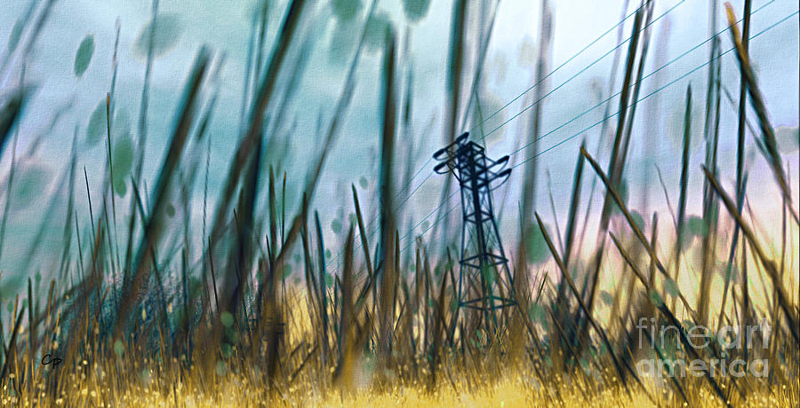 Nature Digital Art - Tall Grass II by Carol Pietrantoni