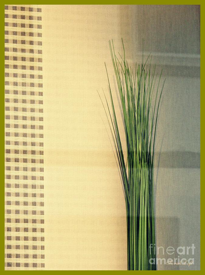 Nature Photograph - Tall Grass in the Window by Sarah Loft