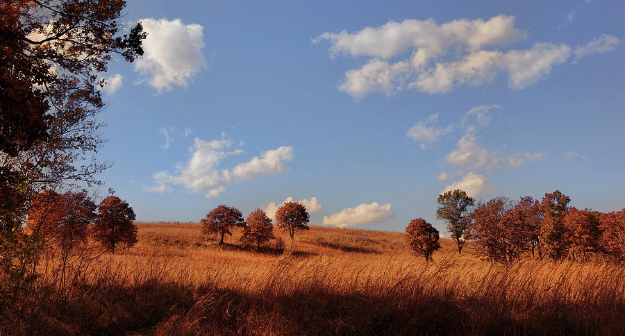 Tall Grass Prairie In Autumn Photograph by Ann Powell