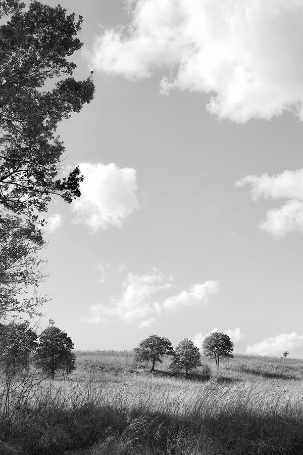 Tall Grass Prairie View black and white photograph Photograph by Ann Powell