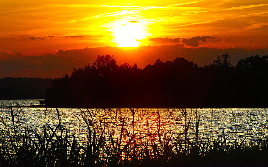 Tall Grass Sunset 2 Smith Mountain Lake Photograph by The James Roney Collection