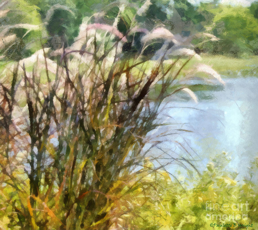 Tall Photograph - Tall Grasses by Paulette B Wright