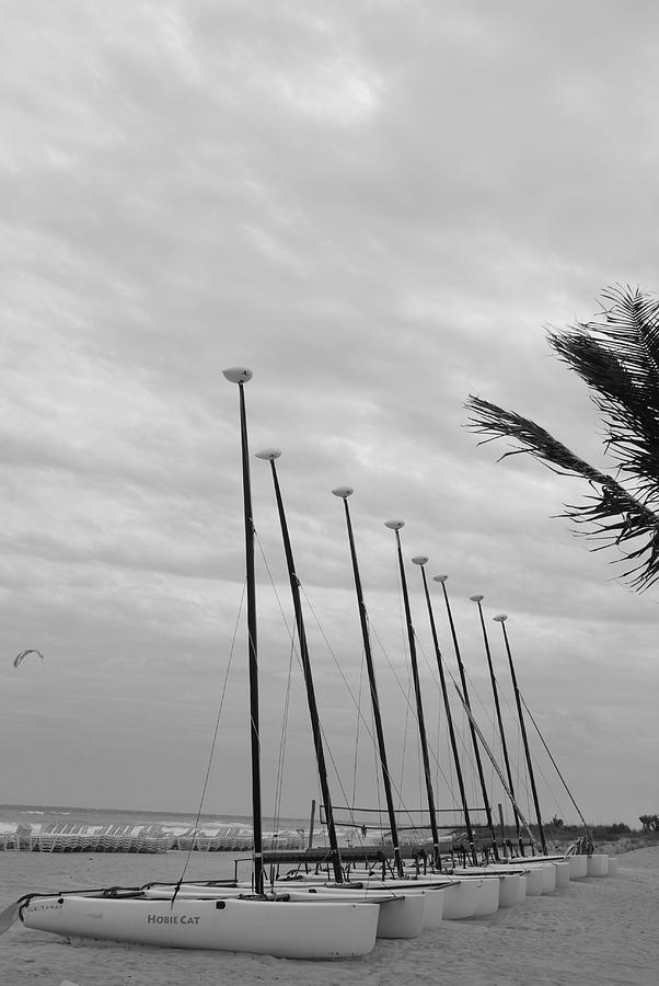 Black And White Photograph - Tall Masts by Rob Hans