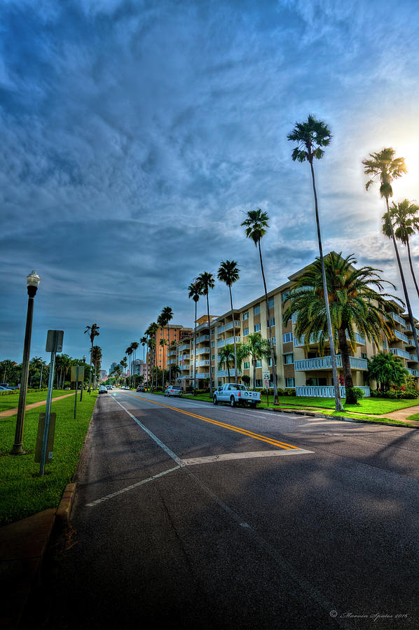Tall Palms Photograph by Marvin Spates