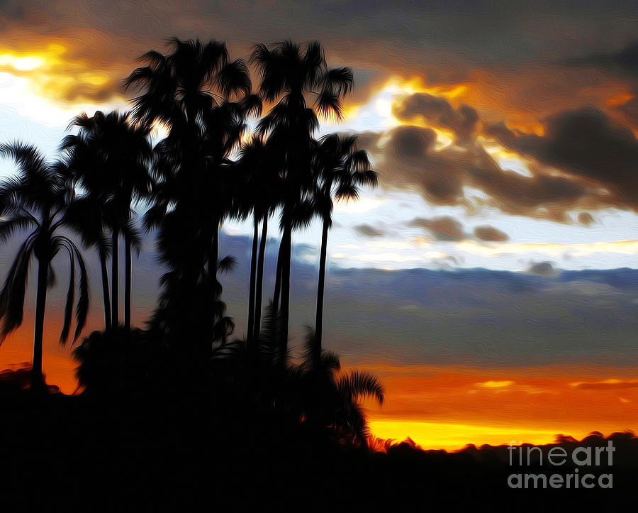 Tall Palms Sunset Silhouette by Kaye Menner Photograph by Kaye Menner