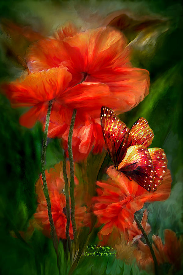Tall Poppies Mixed Media by Carol Cavalaris