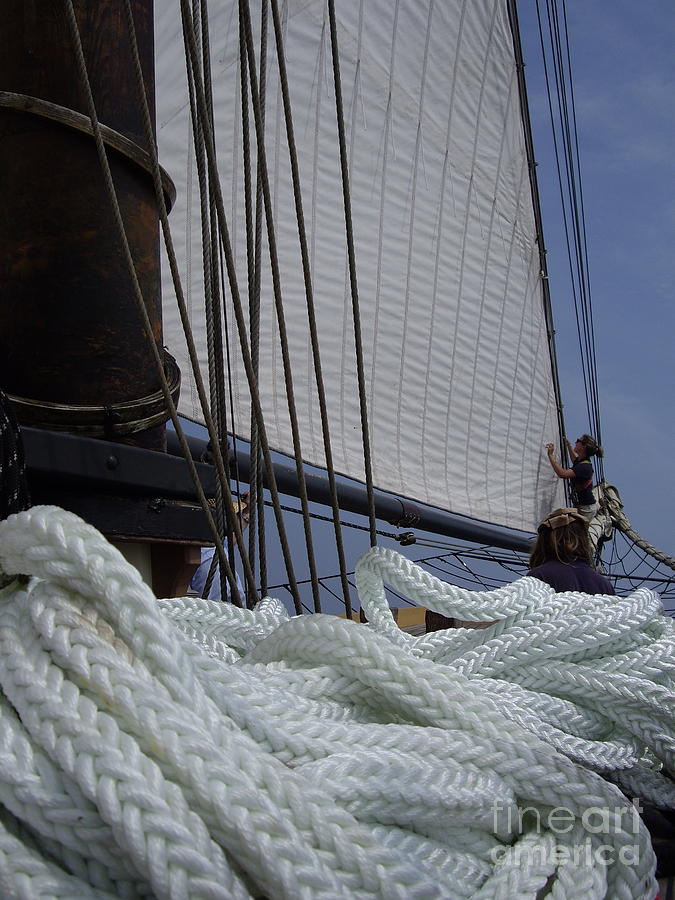 Tall Ship Rope Photograph by Carol Komassa