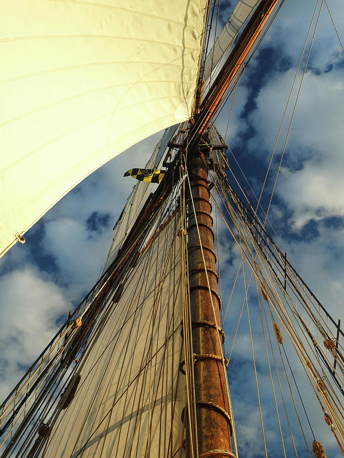 Tall Ship Sails Photograph by David T Wilkinson