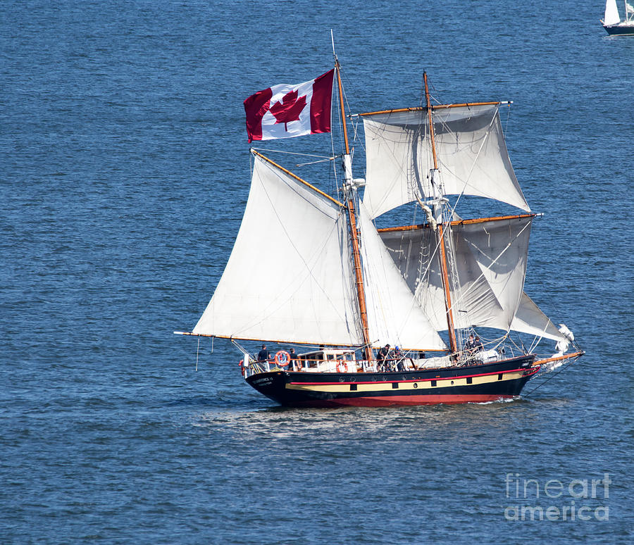 Tall Ship - St. Lawrence II Photograph by CJ Park